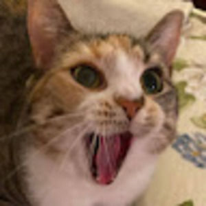 Meet your Posher, Glenda